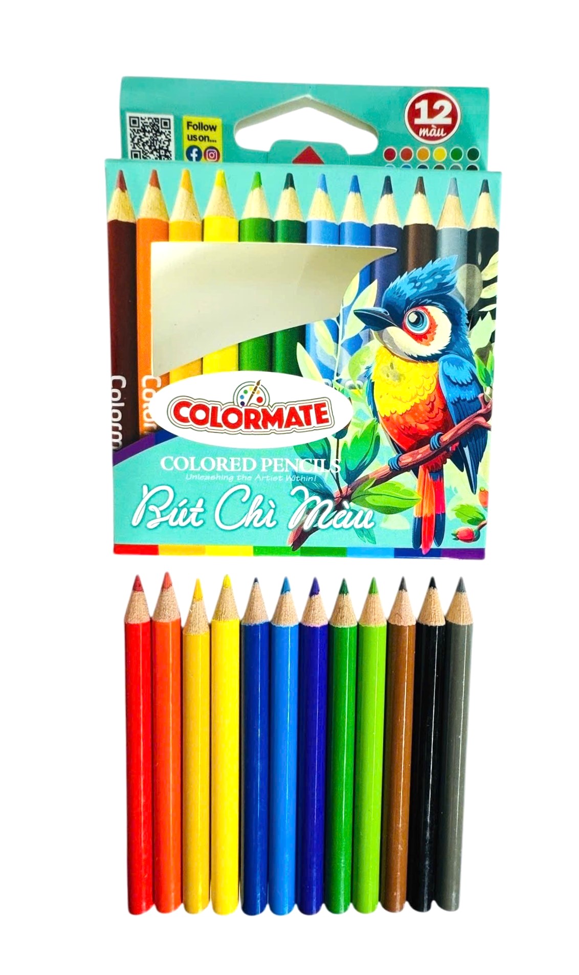 Colormate 12-Color Short Colored Pencil Set (11.5 x 9 × 1 cm)