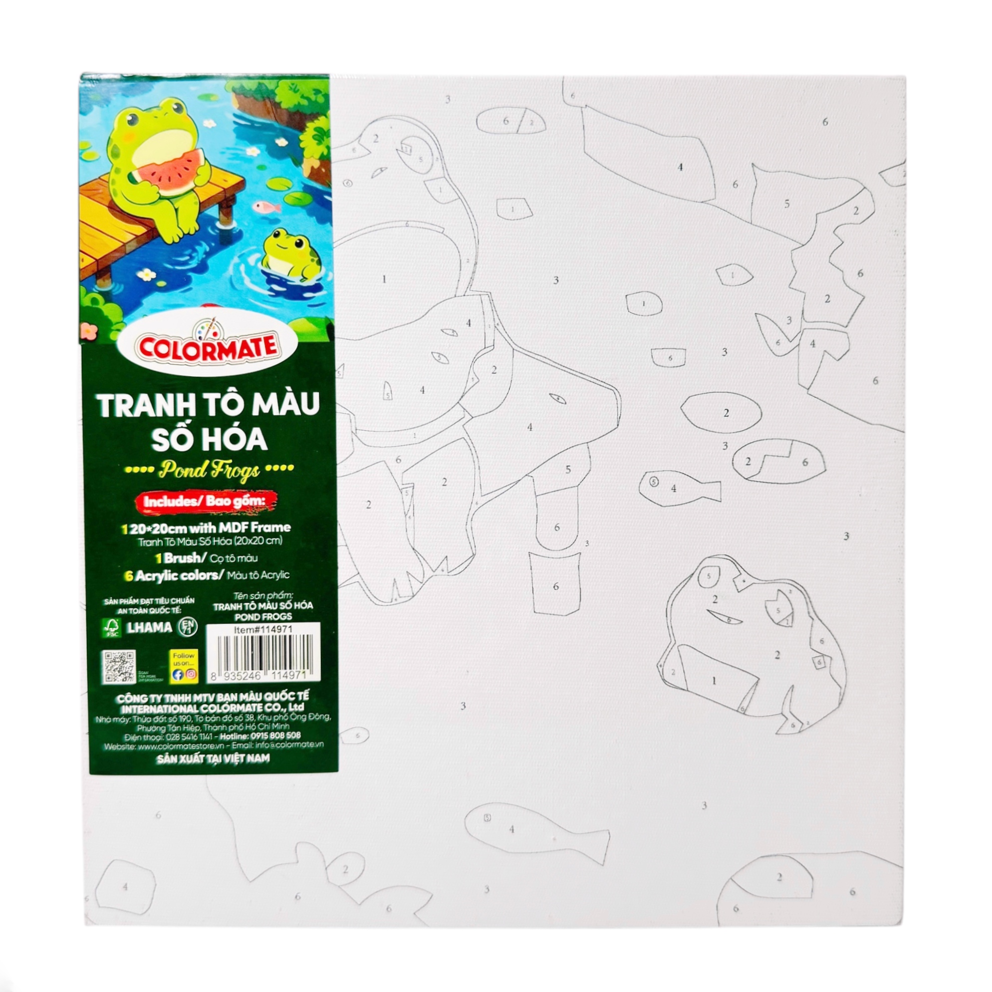 Colormate Paint by Numbers Kit – Pond Frogs 20 × 20 cm